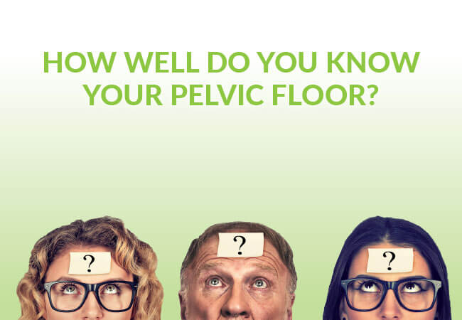 How Well Do You Know Your Pelvic Floor?